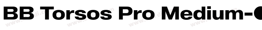 BB Torsos Pro Medium字体转换